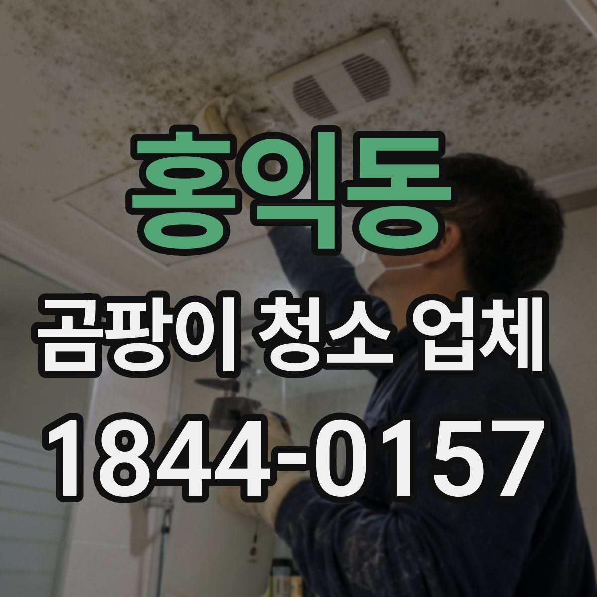 홍익동 곰팡이 청소 업체