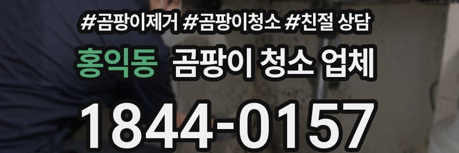 홍익동 곰팡이 청소 업체