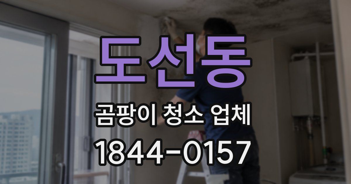 도선동 곰팡이 청소 업체