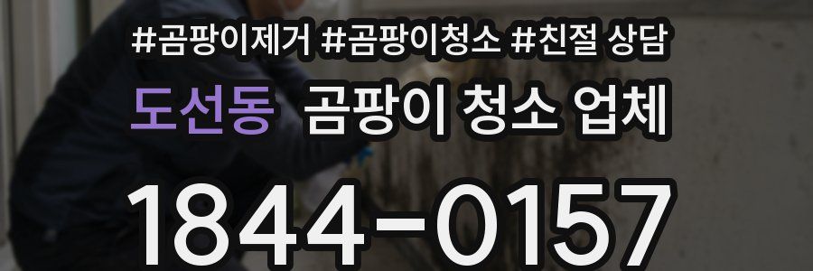 도선동 곰팡이 청소 업체