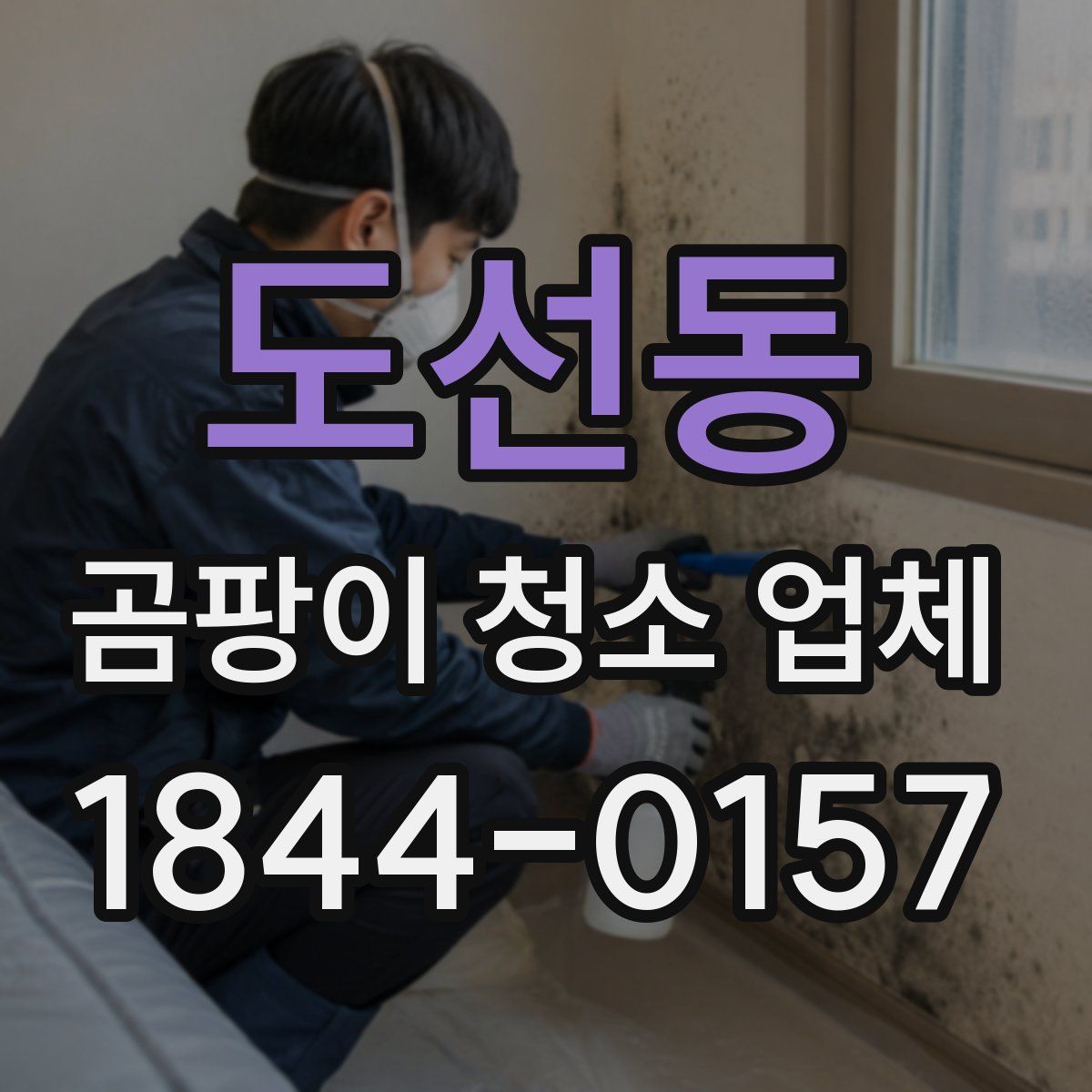 도선동 곰팡이 청소 업체
