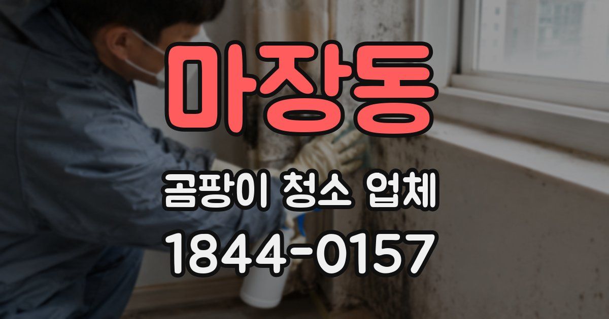 마장동 곰팡이 청소 업체
