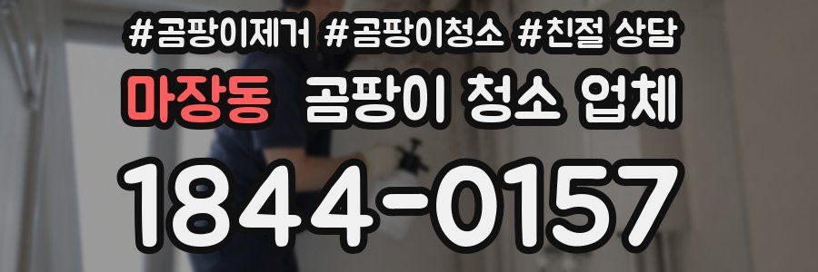마장동 곰팡이 청소 업체