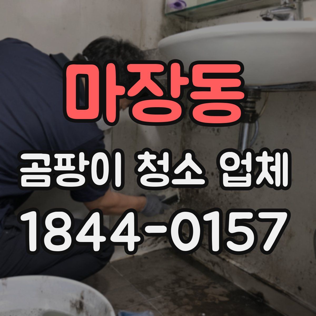 마장동 곰팡이 청소 업체