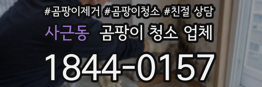 사근동 곰팡이 청소 업체