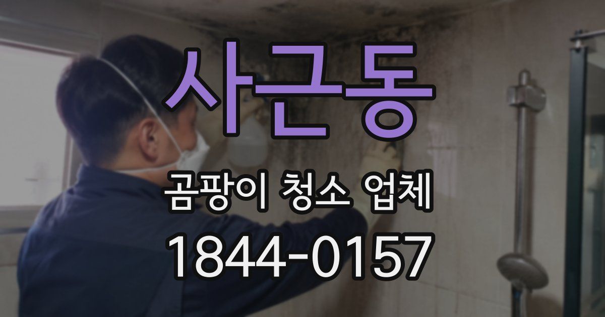 사근동 곰팡이 청소 업체