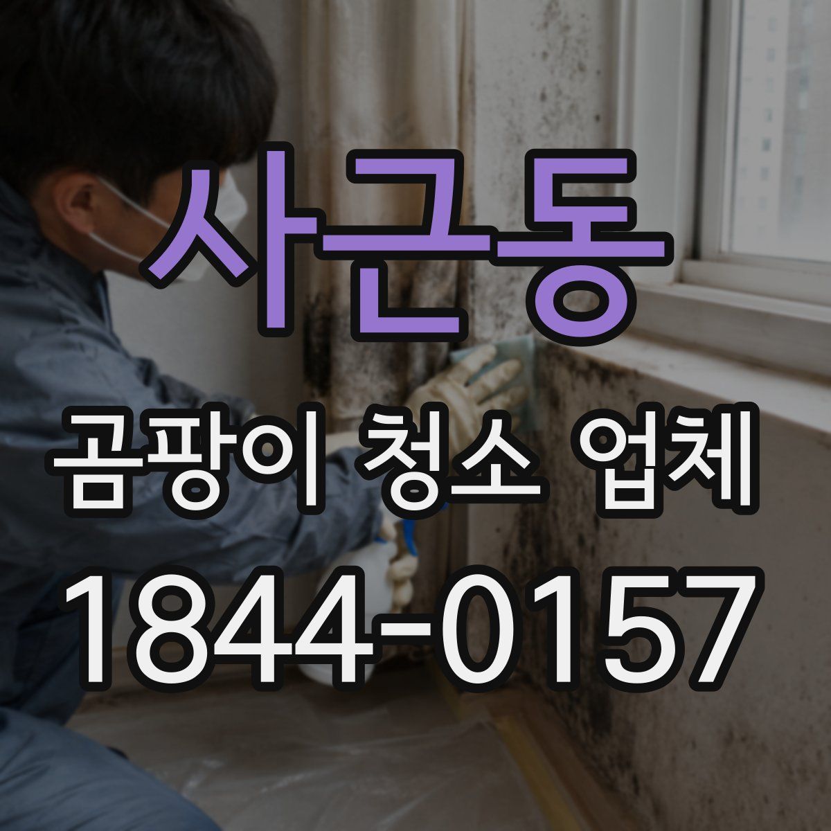 사근동 곰팡이 청소 업체