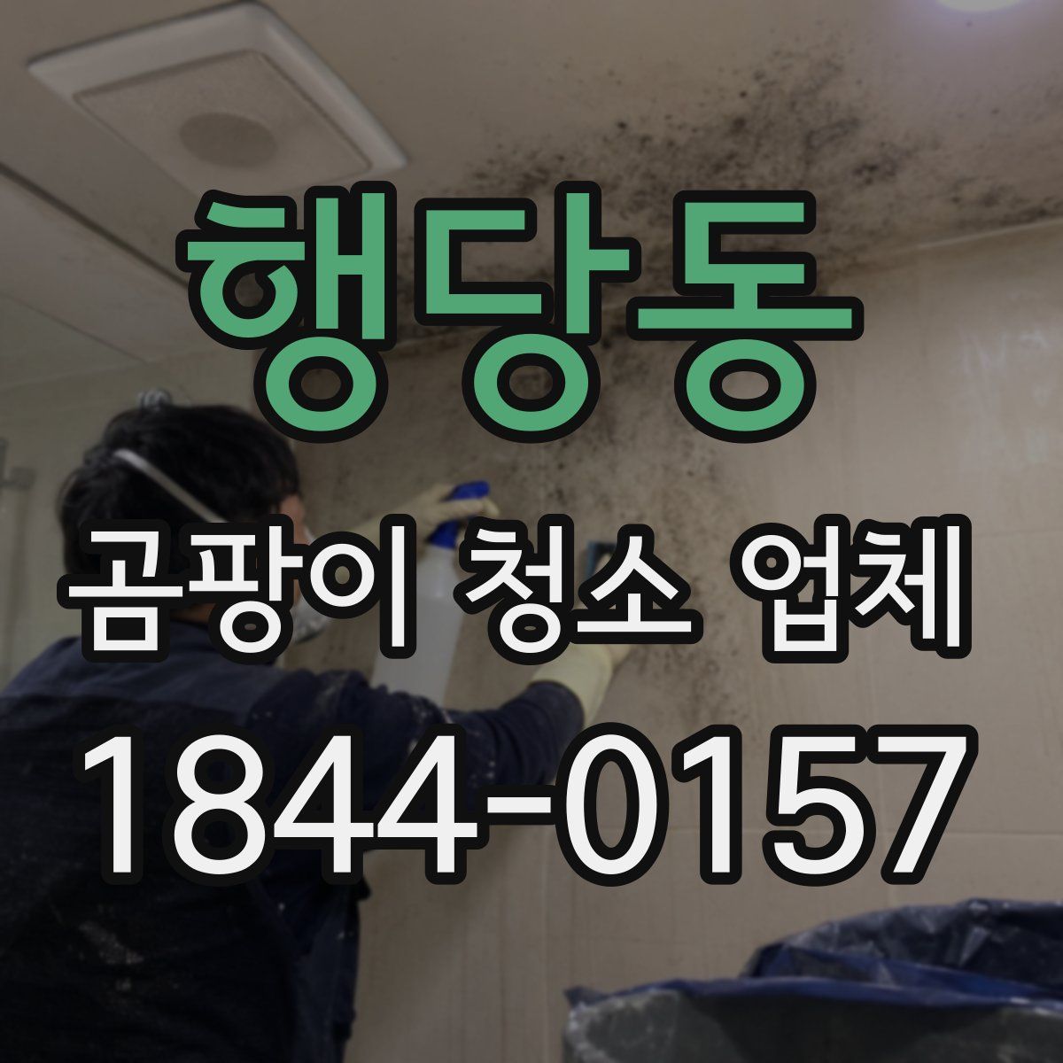 행당동 곰팡이 청소 업체
