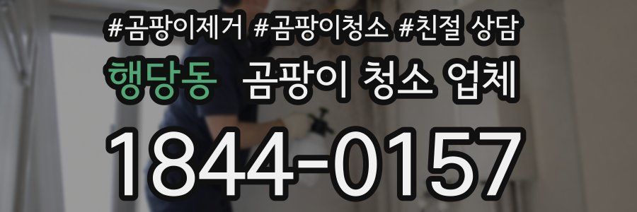 행당동 곰팡이 청소 업체