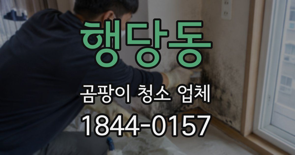 행당동 곰팡이 청소 업체