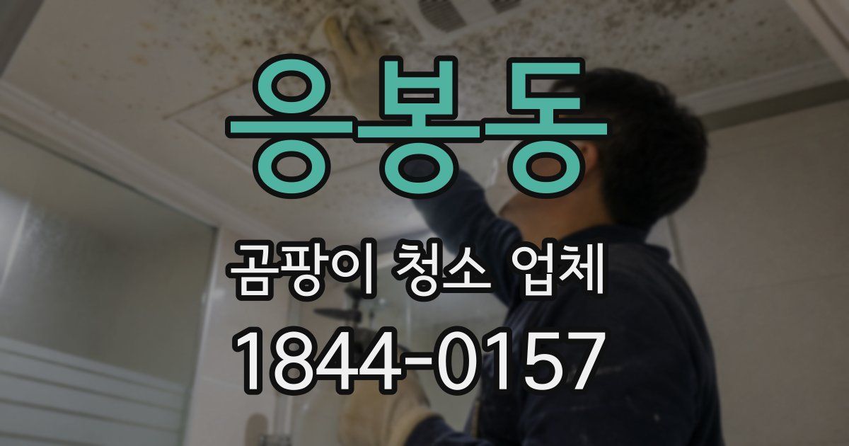 응봉동 곰팡이 청소 업체