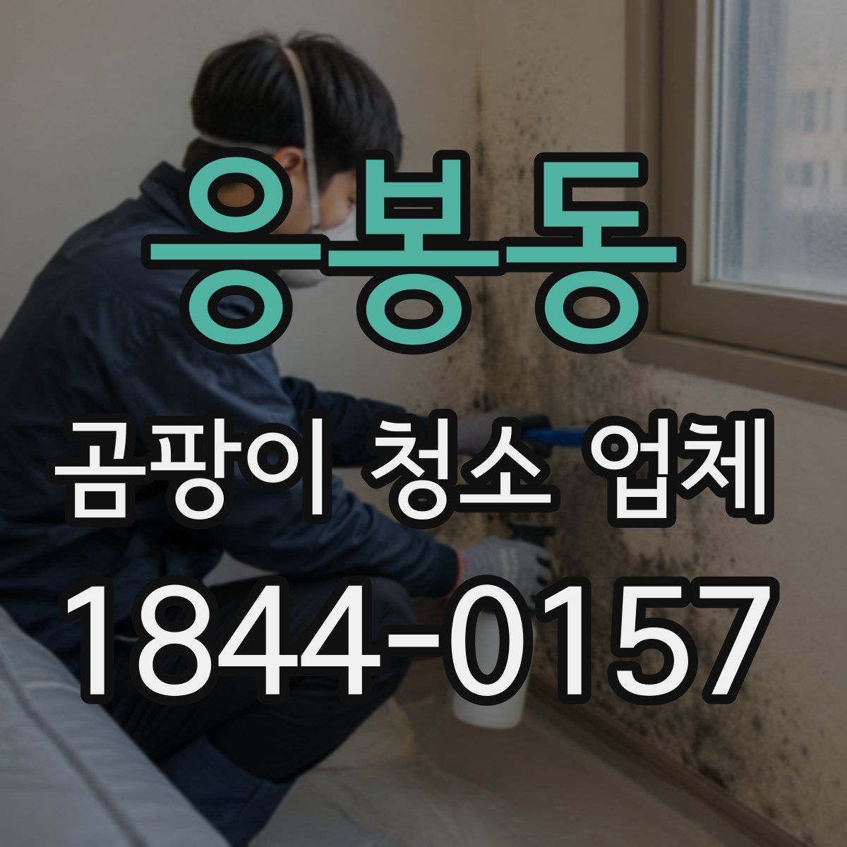 응봉동 곰팡이 청소 업체