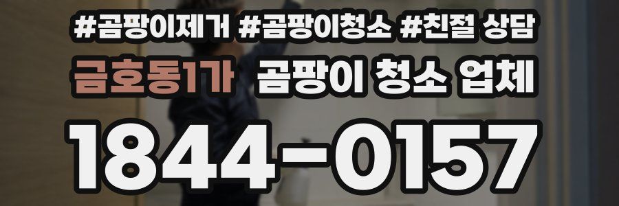 금호동1가 곰팡이 청소 업체