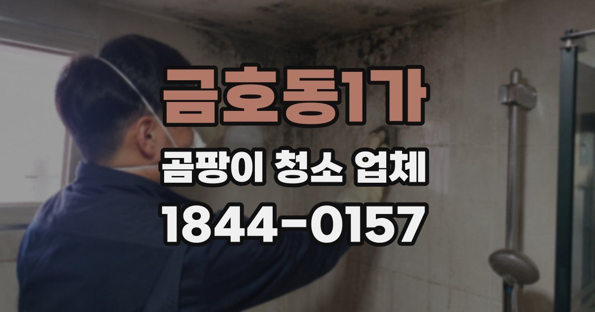 금호동1가 곰팡이 청소 업체
