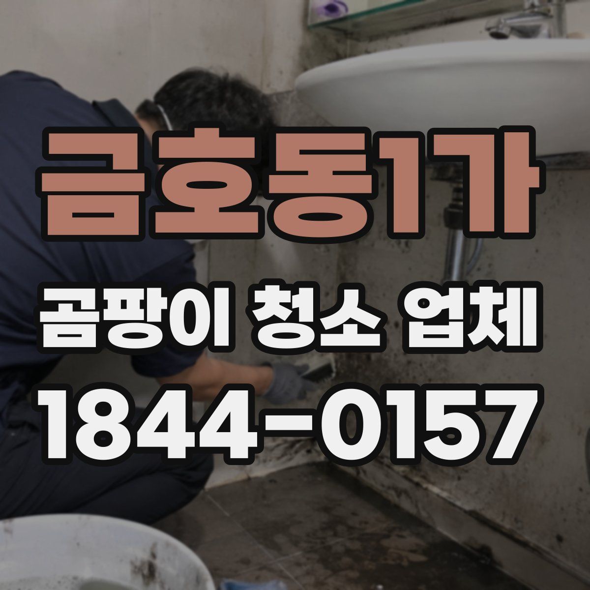 금호동1가 곰팡이 청소 업체