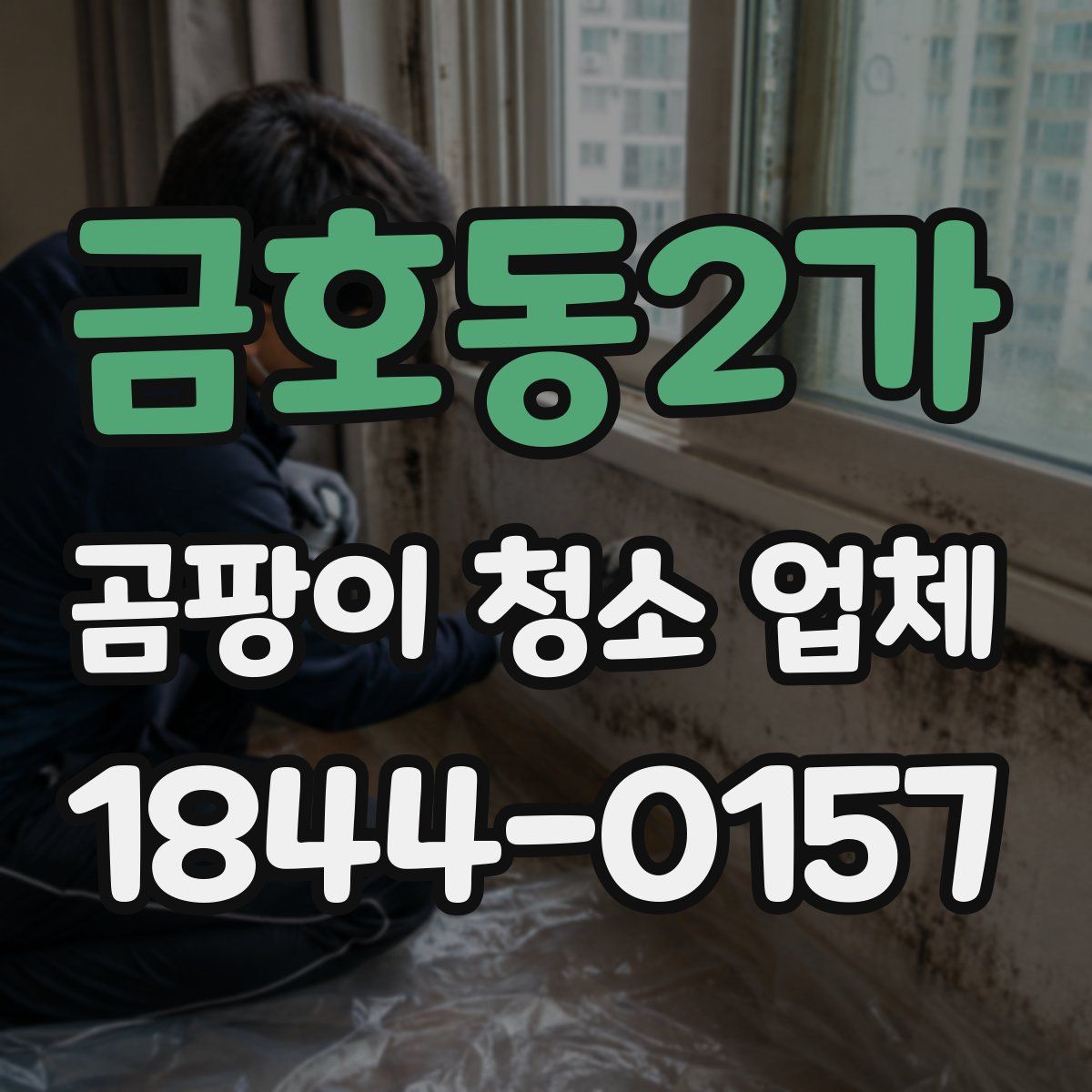 금호동2가 곰팡이 청소 업체
