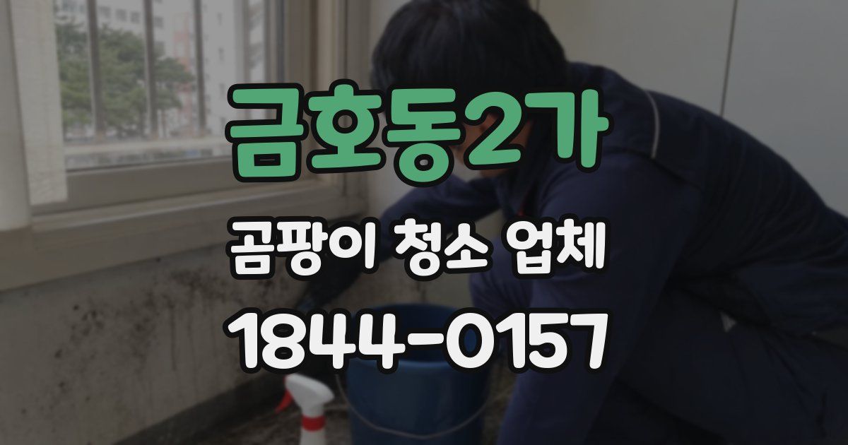 금호동2가 곰팡이 청소 업체