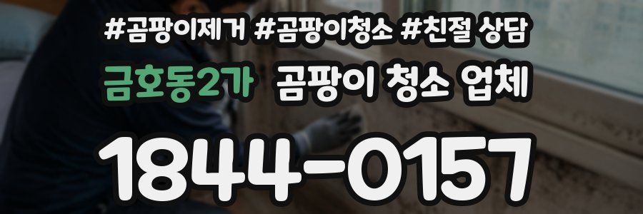 금호동2가 곰팡이 청소 업체