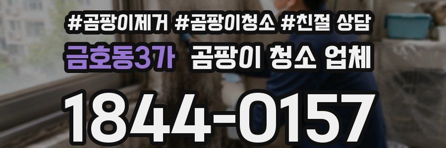 금호동3가 곰팡이 청소 업체
