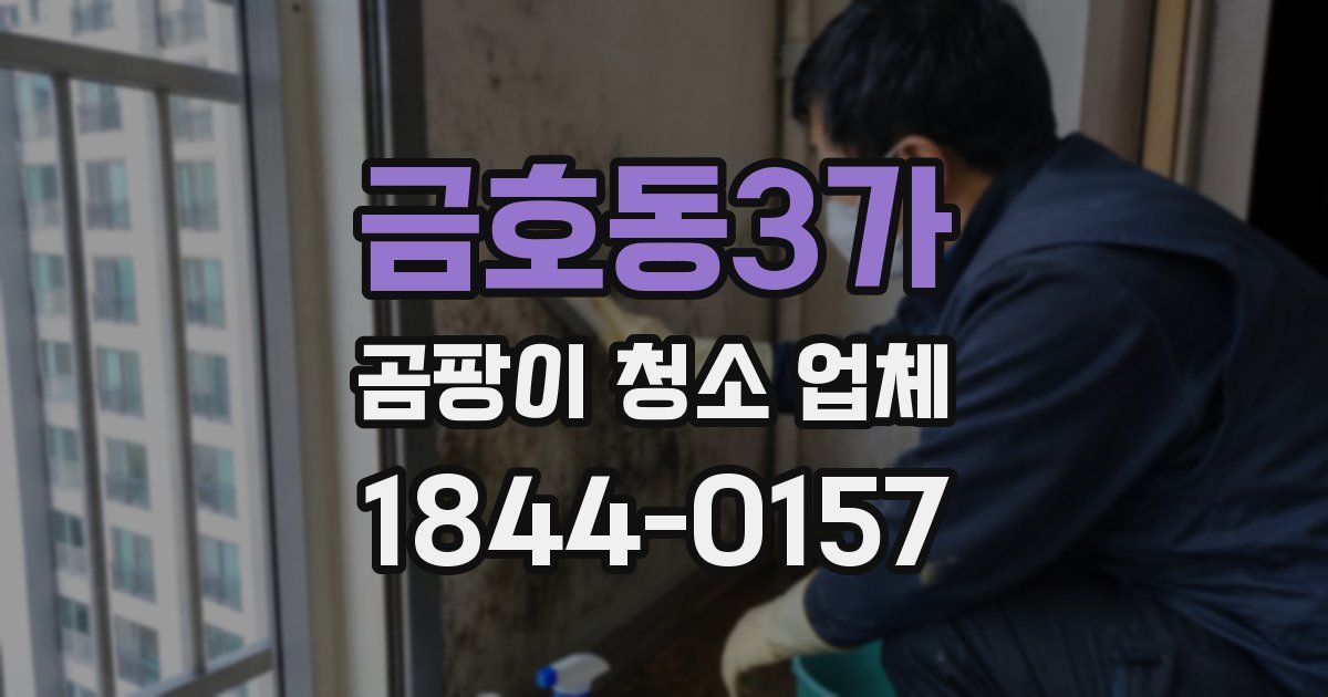 금호동3가 곰팡이 청소 업체
