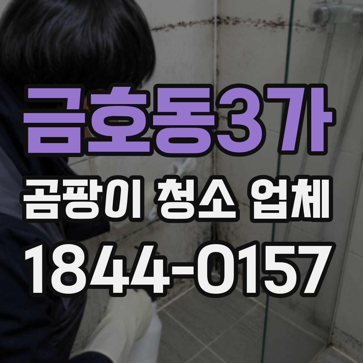 금호동3가 곰팡이 청소 업체