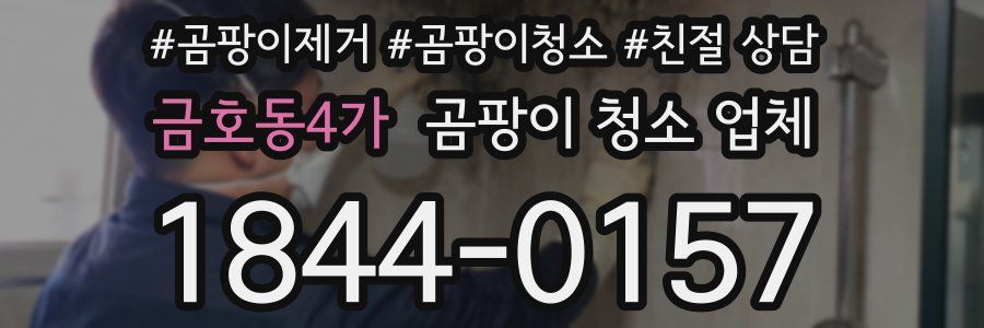 금호동4가 곰팡이 청소 업체