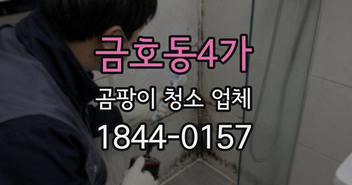 금호동4가 곰팡이 청소 업체