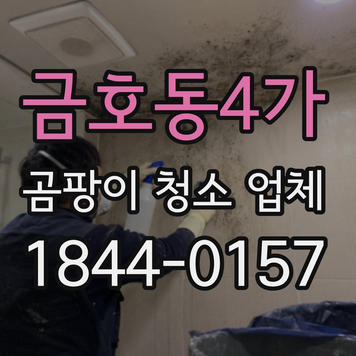 금호동4가 곰팡이 청소 업체