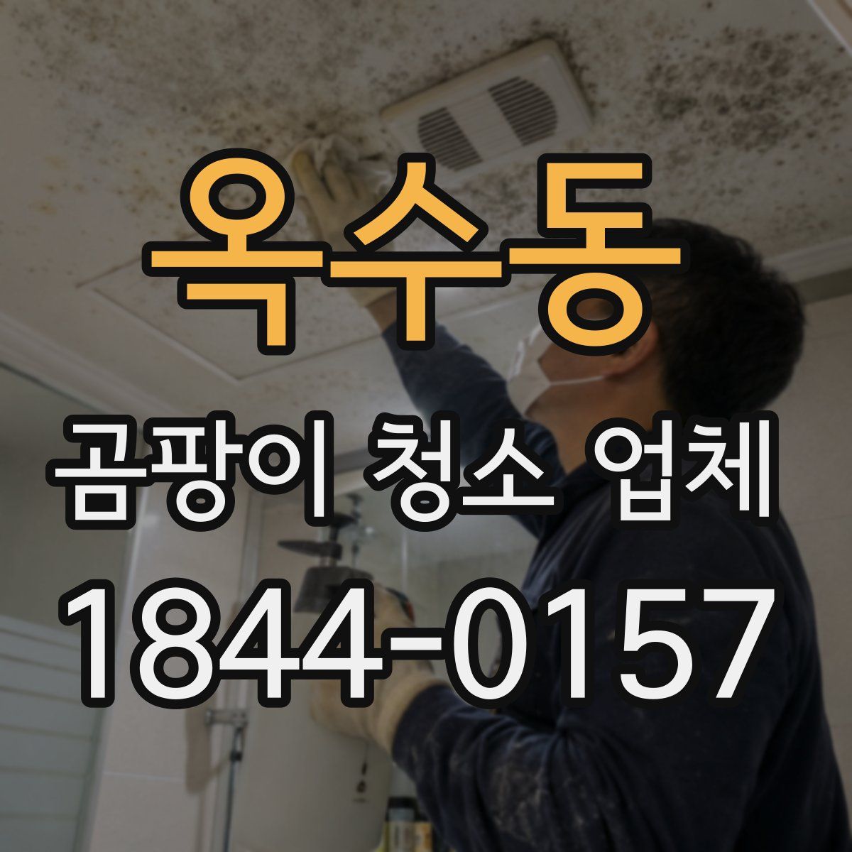 옥수동 곰팡이 청소 업체