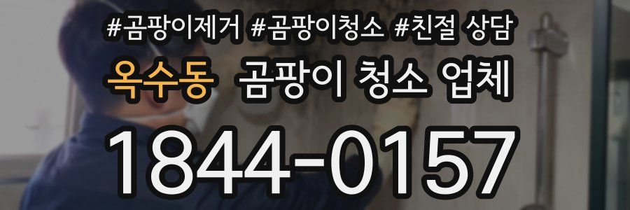 옥수동 곰팡이 청소 업체