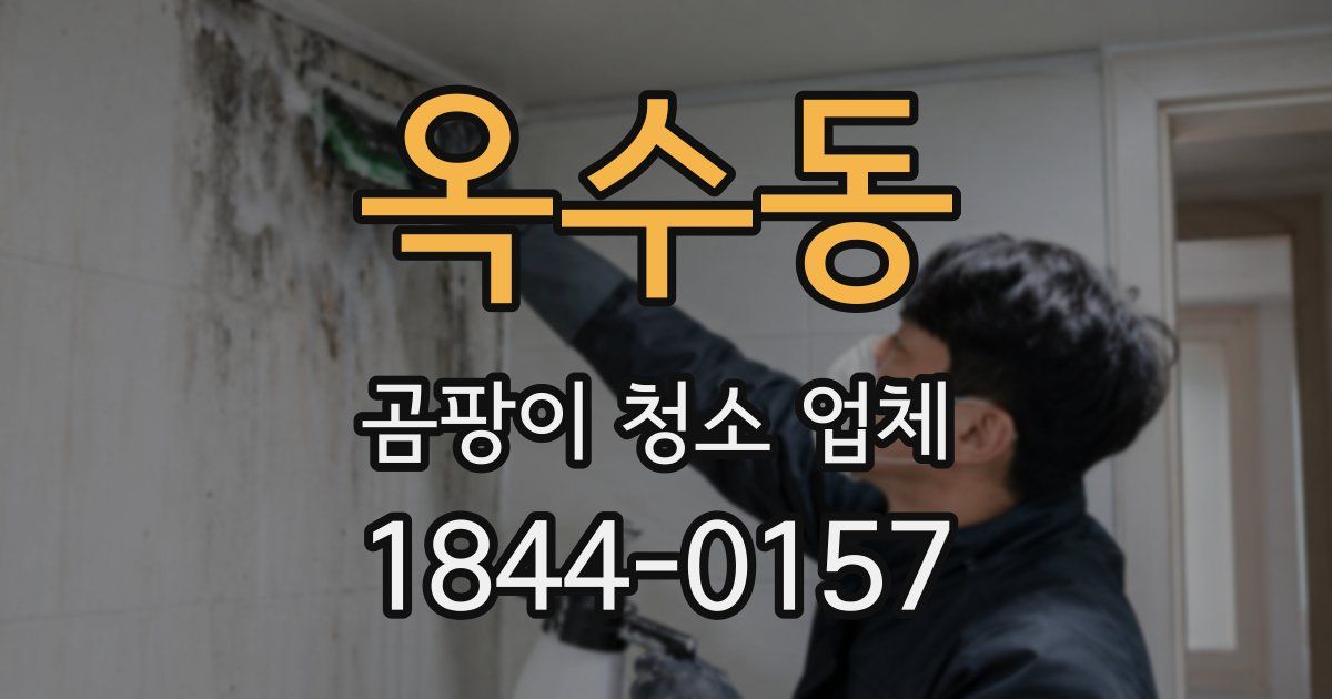 옥수동 곰팡이 청소 업체