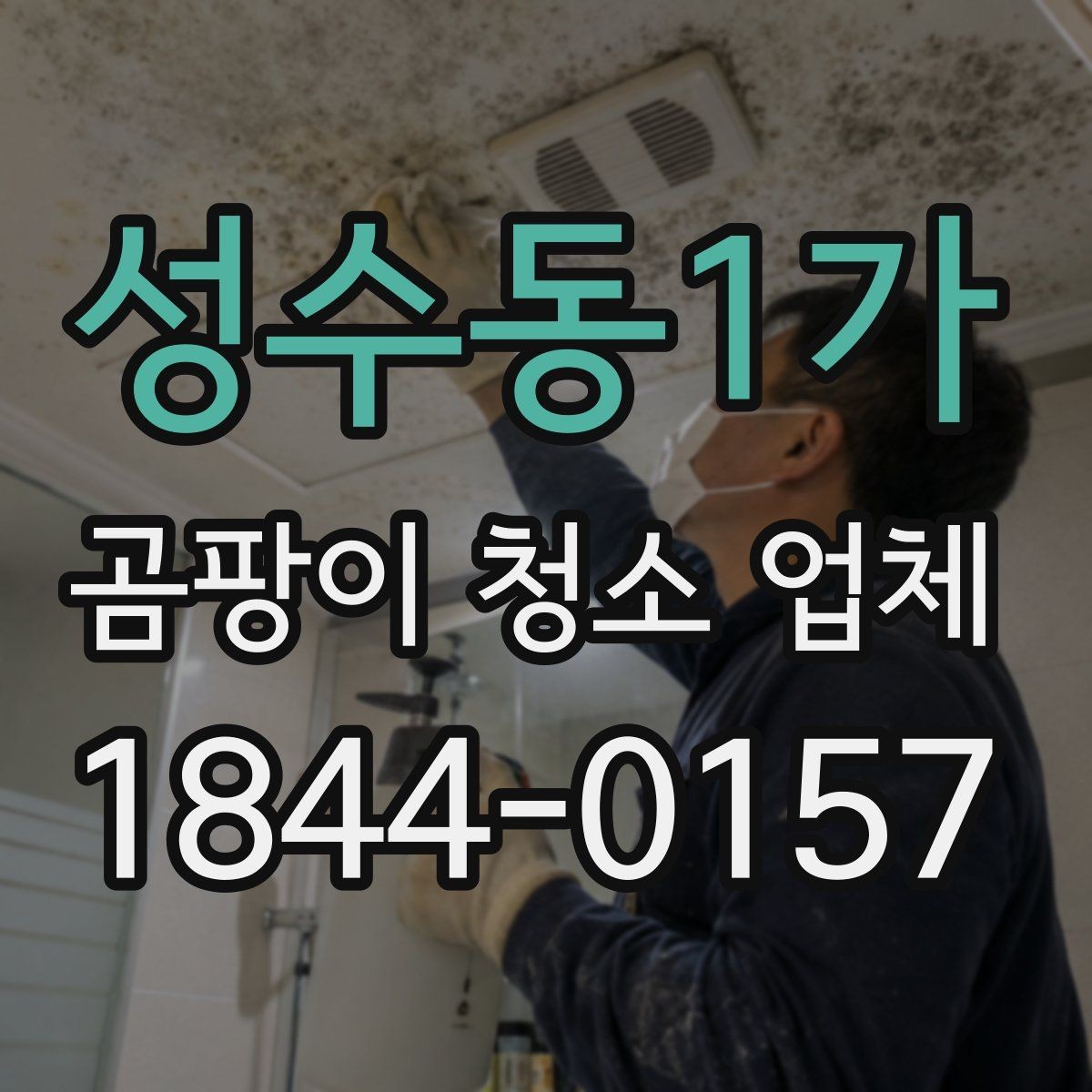 성수동1가 곰팡이 청소 업체 상담 사례로 보는 준비 과정