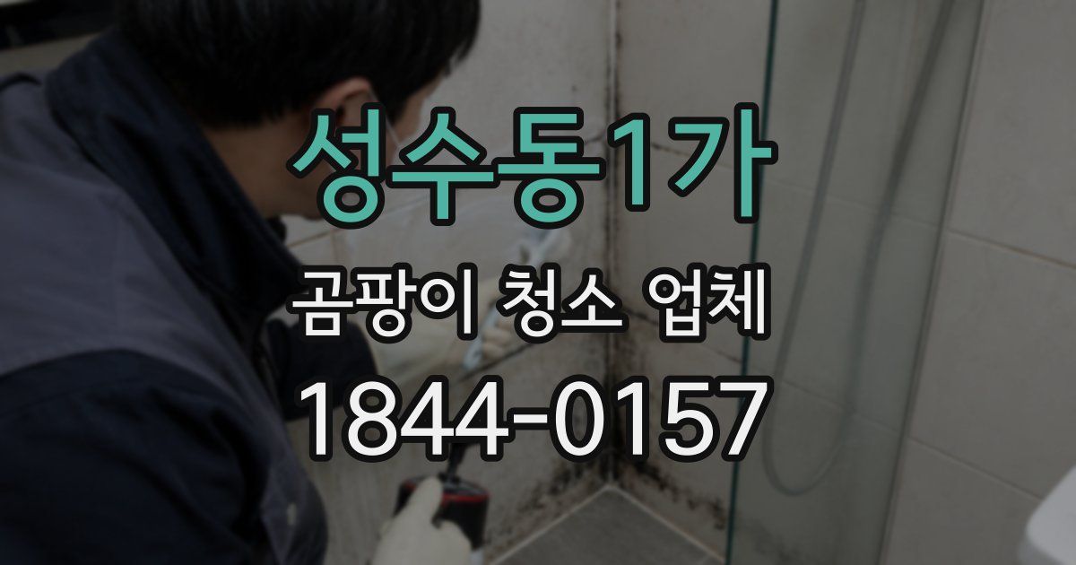 성수동1가 곰팡이 청소 업체