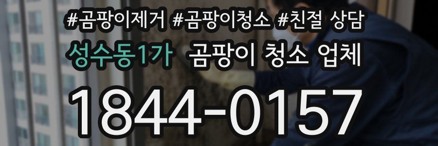 성수동1가 곰팡이 청소 업체