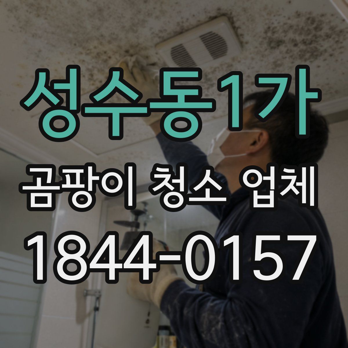 성수동1가 곰팡이 청소 업체