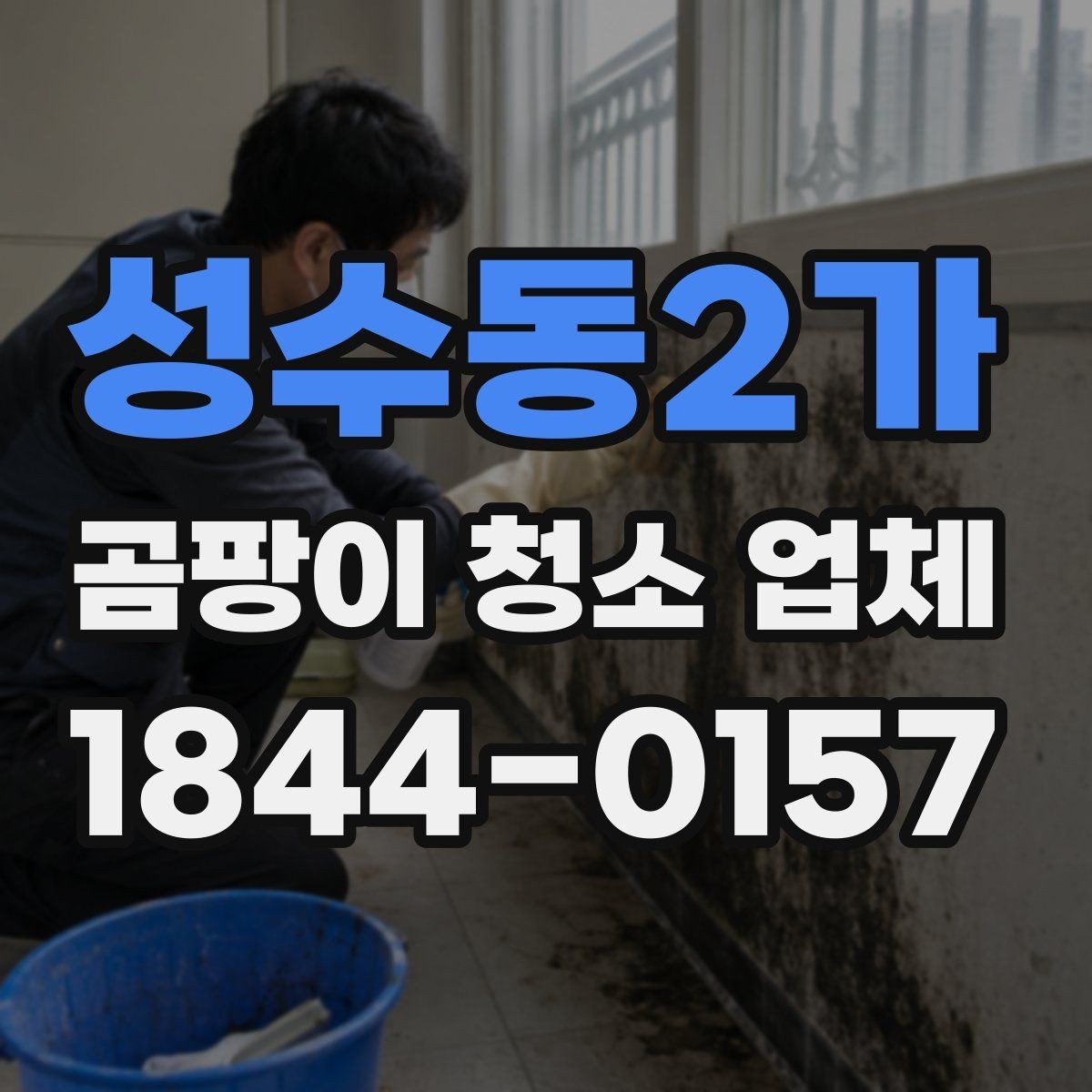 성수동2가 곰팡이 청소 업체 요청이 많은 계절과 이유