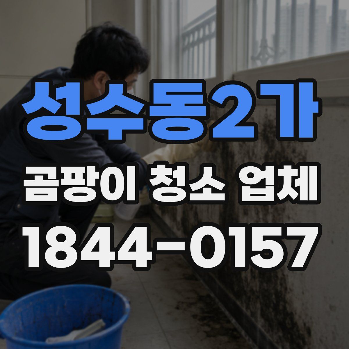 성수동2가 곰팡이 청소 업체
