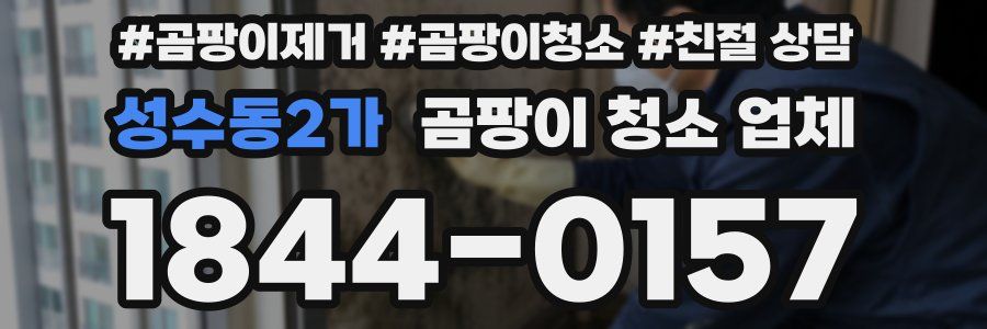성수동2가 곰팡이 청소 업체