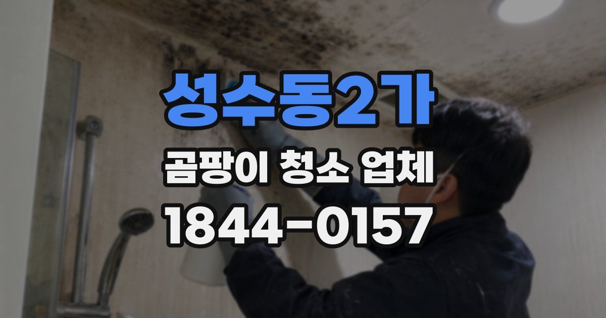 성수동2가 곰팡이 청소 업체