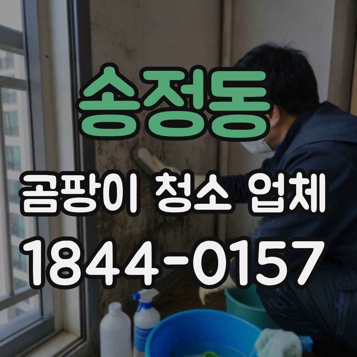 송정동 곰팡이 청소 업체