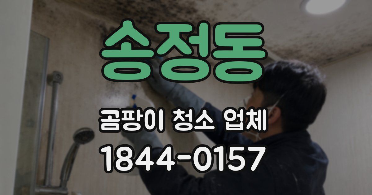 송정동 곰팡이 청소 업체