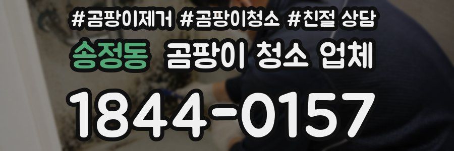 송정동 곰팡이 청소 업체
