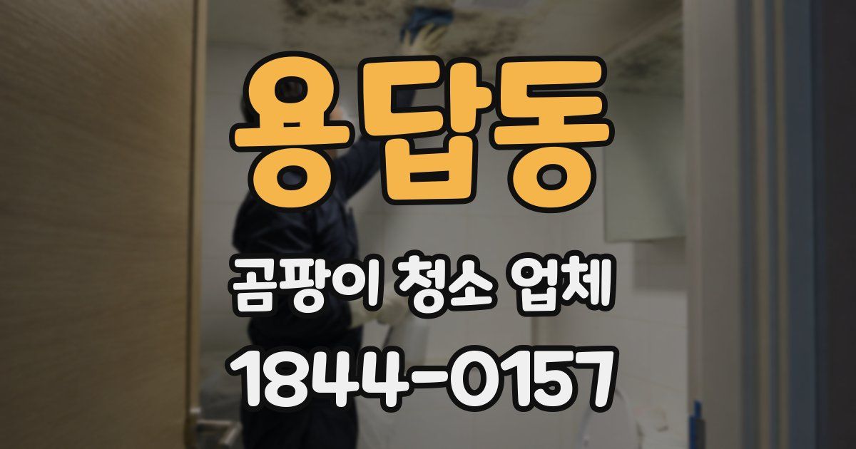 용답동 곰팡이 청소 업체