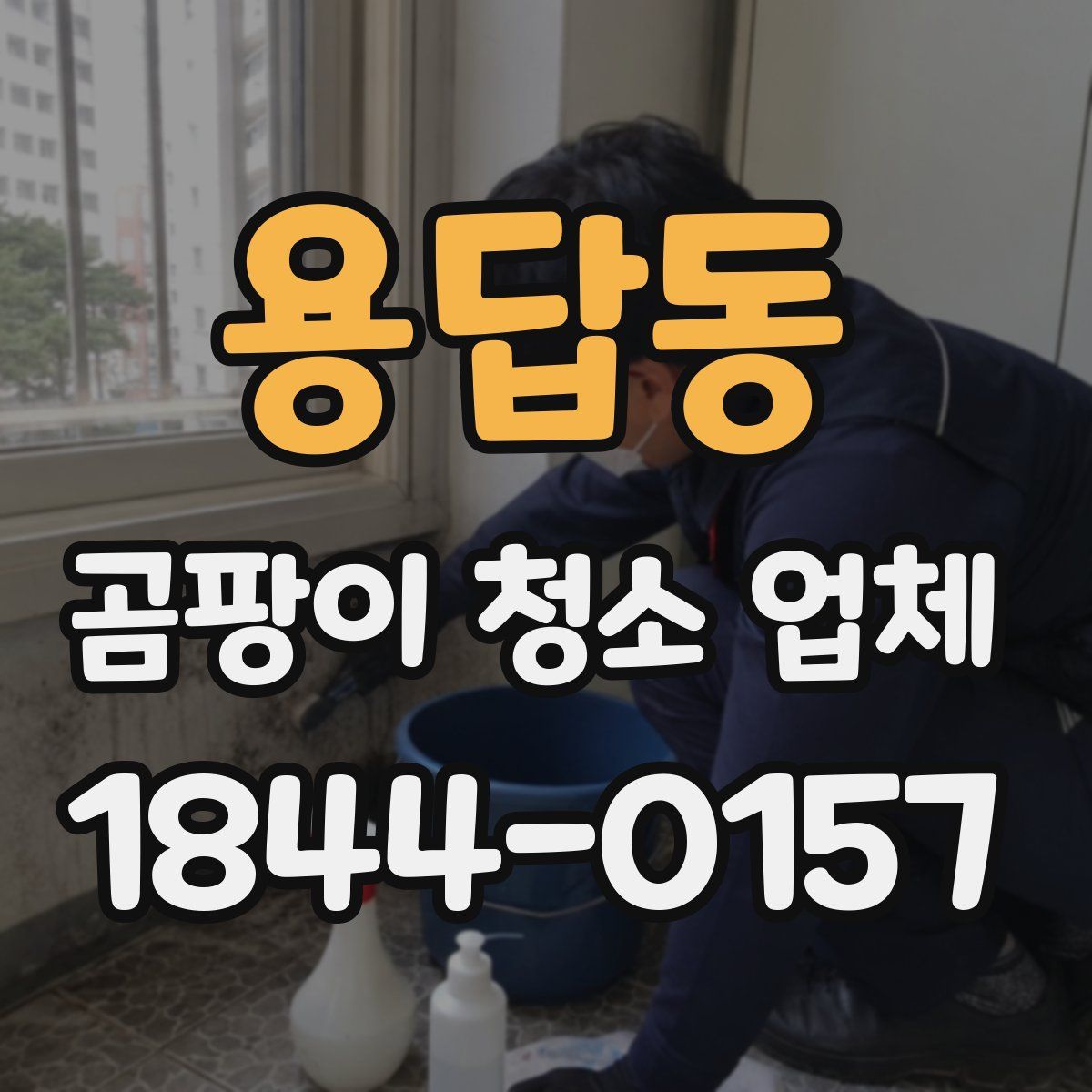 용답동 곰팡이 청소 업체