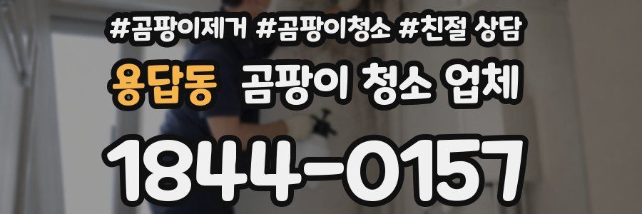 용답동 곰팡이 청소 업체