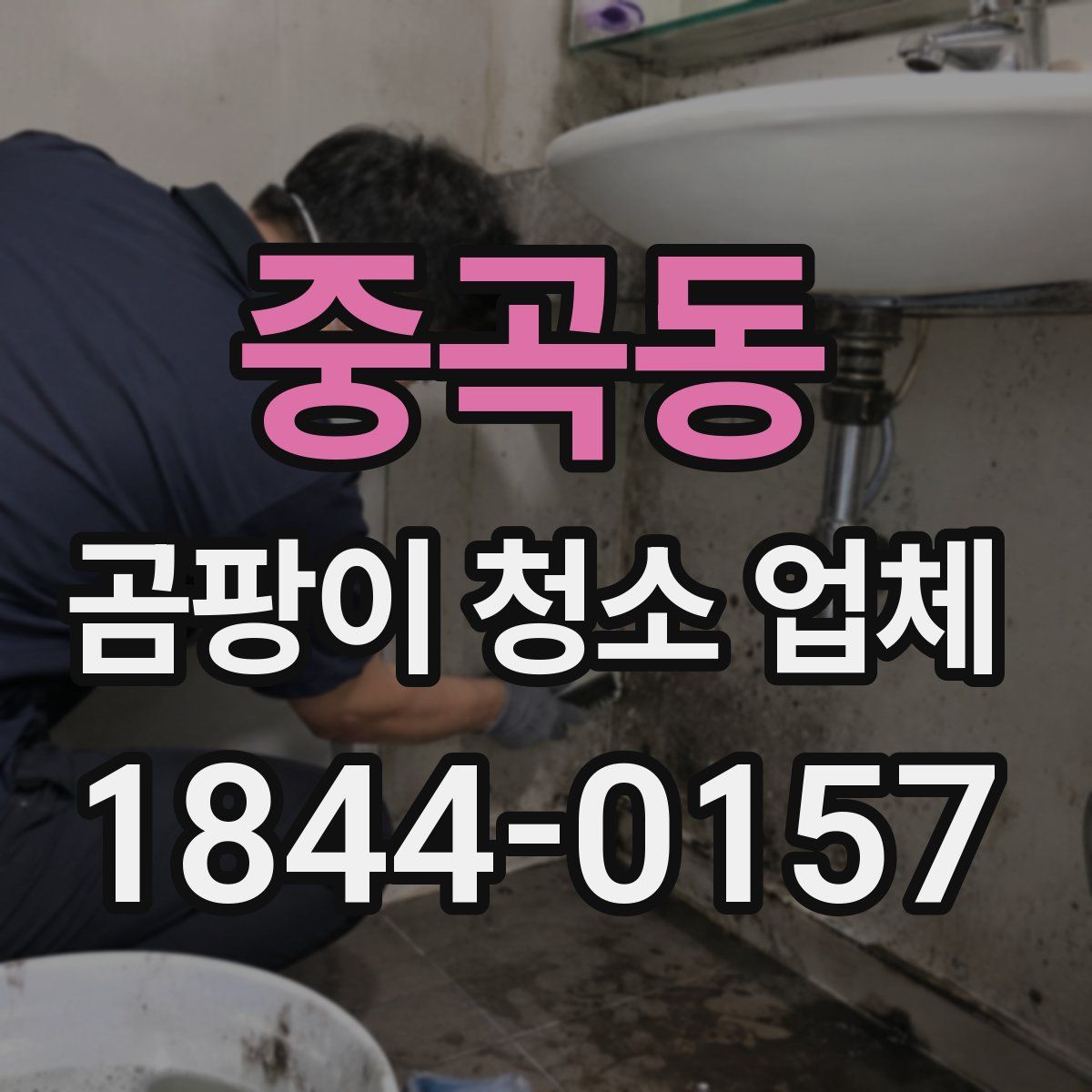 중곡동 곰팡이 청소 업체