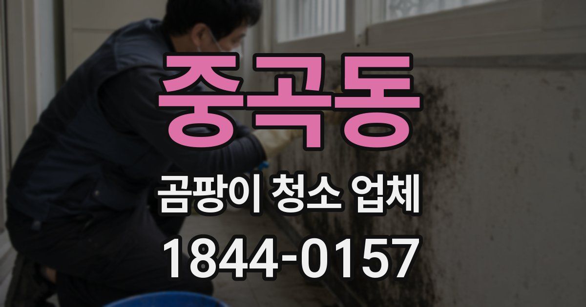 중곡동 곰팡이 청소 업체