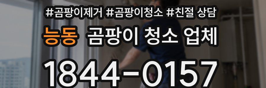 능동 곰팡이 청소 업체
