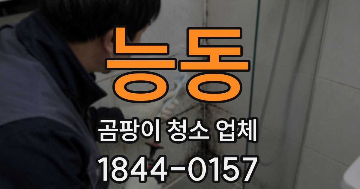 능동 곰팡이 청소 업체