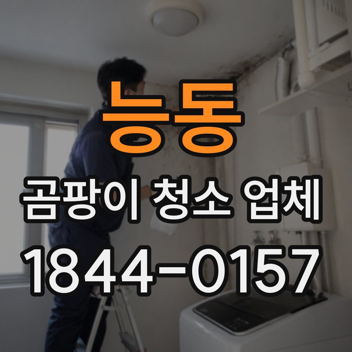 능동 곰팡이 청소 업체